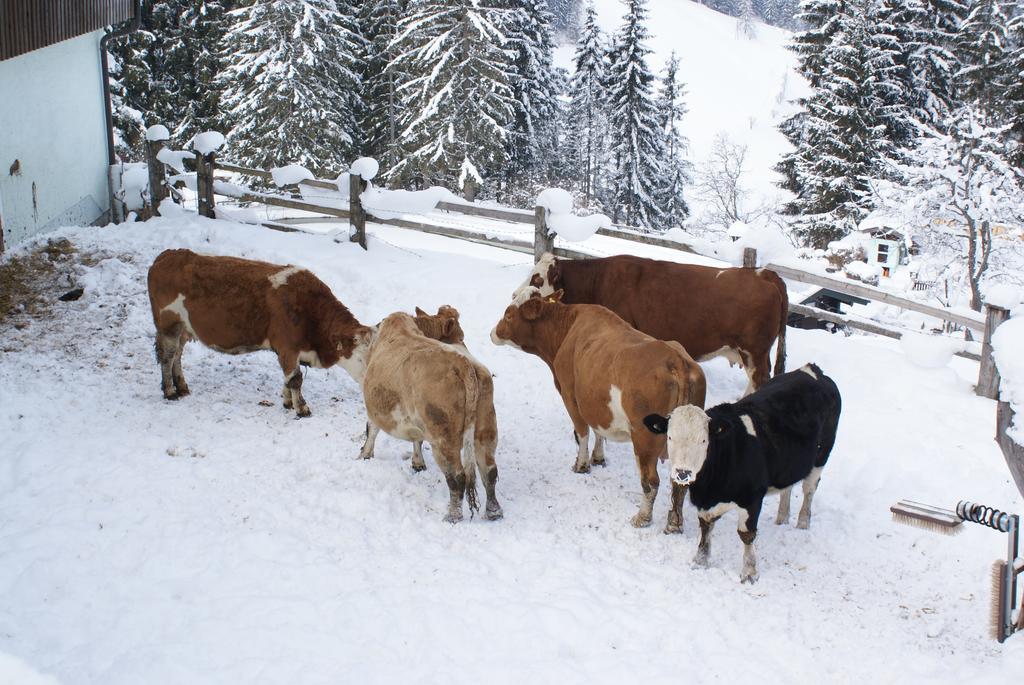 Pension Chalet Bergseegut Wagrain Luaran gambar