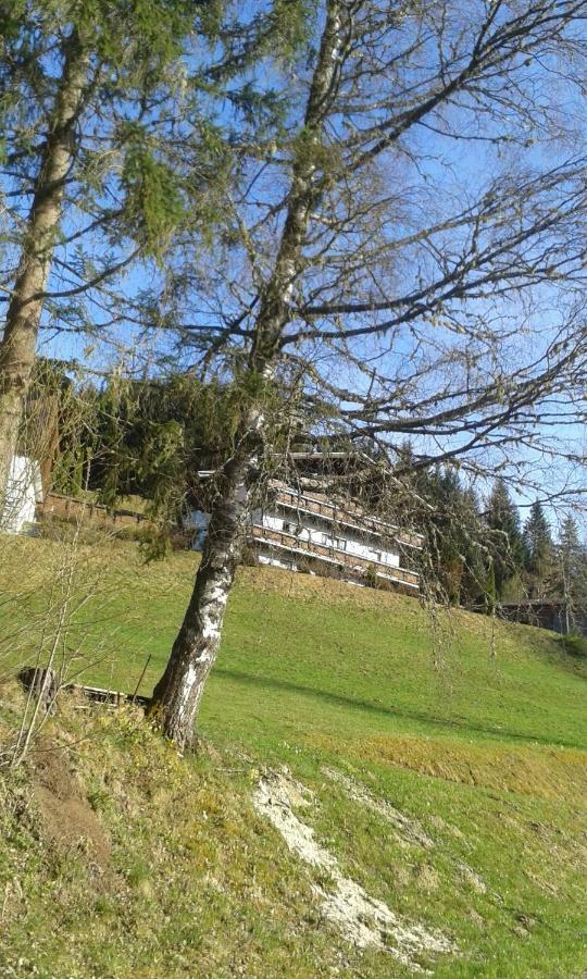 Pension Chalet Bergseegut Wagrain Luaran gambar