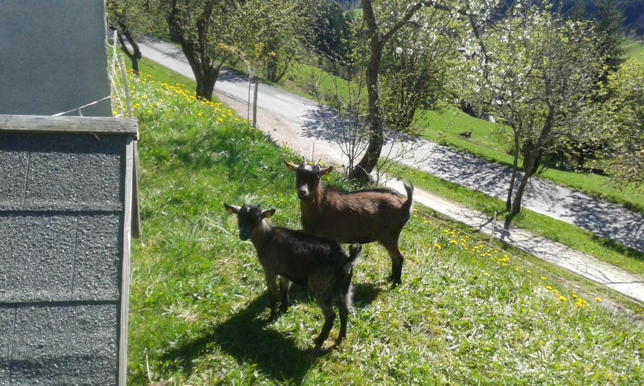 Pension Chalet Bergseegut Wagrain Luaran gambar