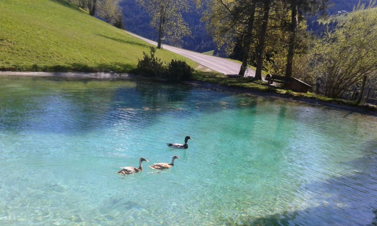 Pension Chalet Bergseegut Wagrain Luaran gambar