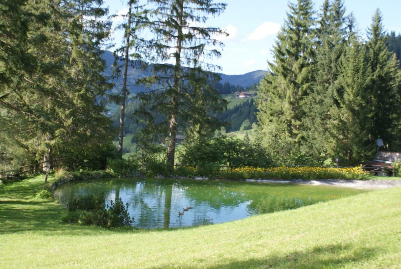 Pension Chalet Bergseegut Wagrain Luaran gambar