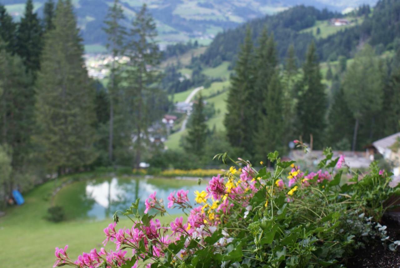 Pension Chalet Bergseegut Wagrain Luaran gambar
