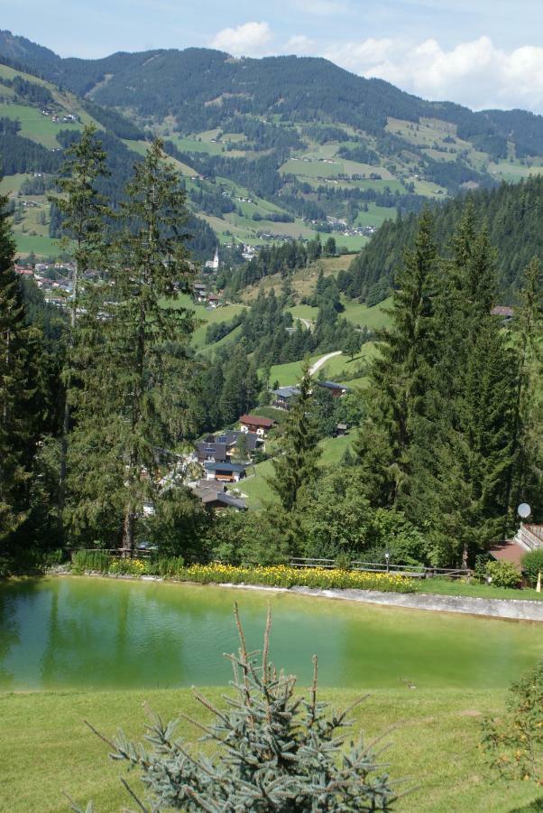Pension Chalet Bergseegut Wagrain Luaran gambar