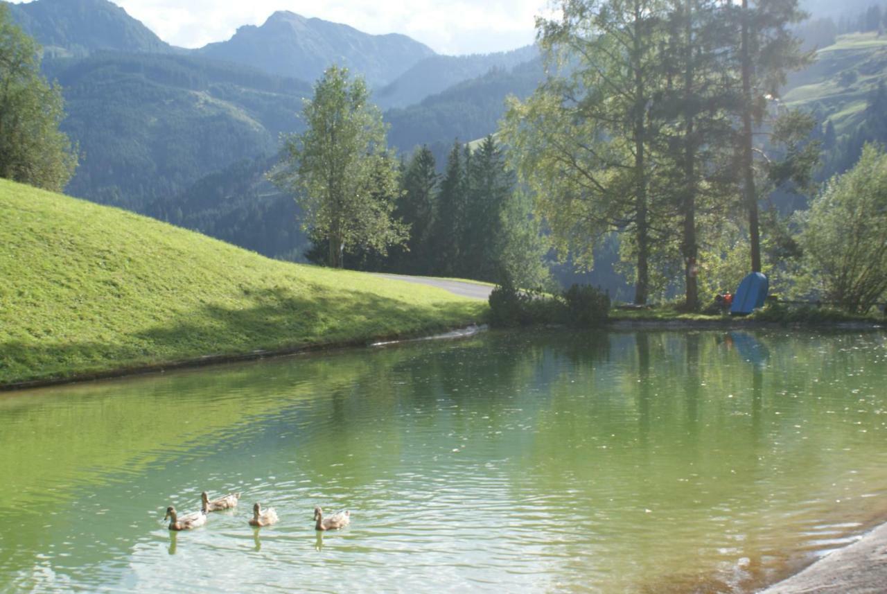 Pension Chalet Bergseegut Wagrain Luaran gambar