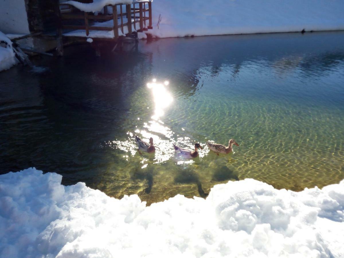 Pension Chalet Bergseegut Wagrain Luaran gambar