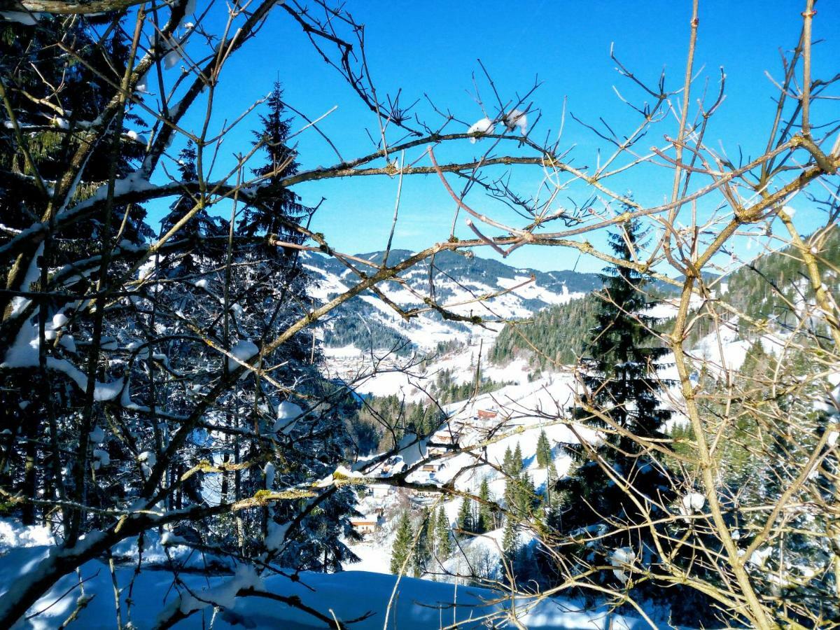 Pension Chalet Bergseegut Wagrain Luaran gambar