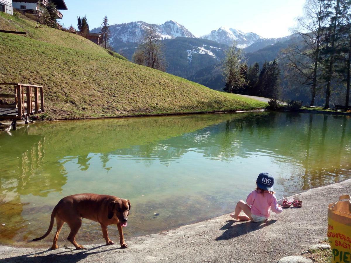 Pension Chalet Bergseegut Wagrain Luaran gambar
